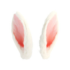 PNG White rabbit ears animal bunny pink isolated white and transparent background