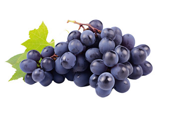 Fototapeta premium Detailed shot of a blue grape bunch with a glossy appearance and moisture on the skin, isolated on white background