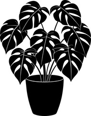 Home Potted Plants Silhouette