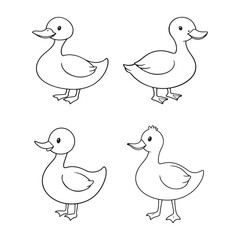 Cute Black and White Duck Icon Set – Simple Line Drawing