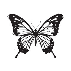 Butterfly vector illustration black and white isolated butterfly design art 80