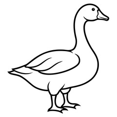 Obraz premium Goose silhouette vector black outline, white background