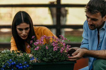 Gardeners taking care of flowers in a pot