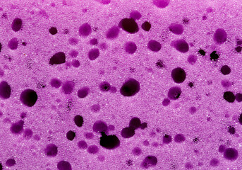 A purple sponge with many small dots on it