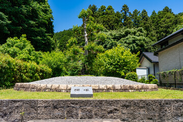 Fototapeta premium 猫塚公園の風景（宮若市）