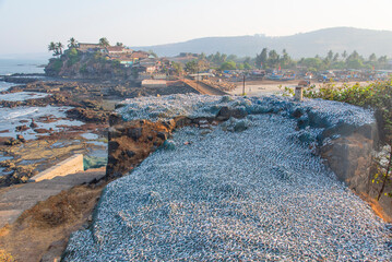 Fish drying in the sea breeze in a small fishing village Harnai, Dapoli, Ratnagiri, Maharashtra,...