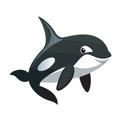 Orca fish vector and illustration.