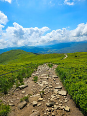 Scenic hiking trail on Połonina Caryńska, Bieszczady, Poland, with grassy meadows and distant mountains under a cloudy sky