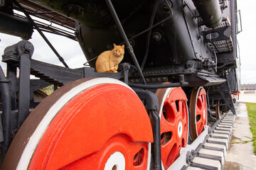 A ginger cat sitting on a steam locomotive.