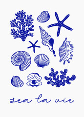 Seashells collection with aesthetic quote "sea la vie". Vintage Coastal wall art, greeting card, wedding invitation, postcard, logo design.