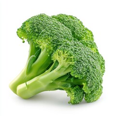 Fresh green broccoli bunch on a white background.