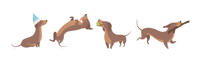 Brown Funny Dachshund Dog and Puppy in Different Pose Vector Set