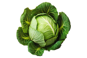 Obraz premium Whole green cabbage with vibrant outer leaves isolated on a transparent background. Fresh and organic vegetable concept, healthy food ingredient