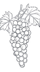 Minimalist Grapes Cluster with Leaves SVG Vector for Coloring Pages