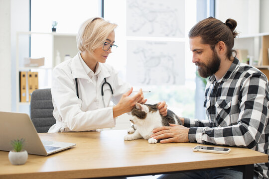 Female veterinarian wearing coat administering vaccine to cat held by male owner. Image represents pet healthcare, owner-veterinarian relationship, and vaccination procedure in clinical setting.