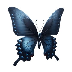 A dark blue flying butterfly isolated on white background 