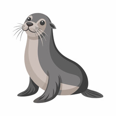 A sea lion vector and illustration art.