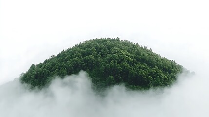 Lush green hilltop shrouded in mist.