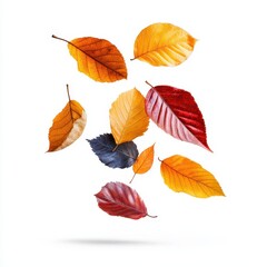 Fototapeta premium Colorful autumn leaves in various shapes falling gracefully against a white background.