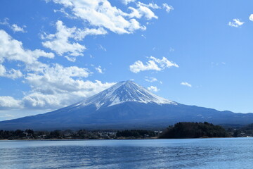 The cherry blossoms have bloomed
