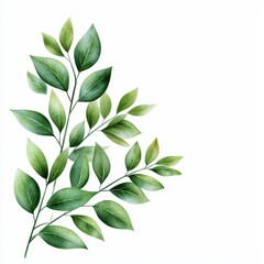 A serene arrangement of green leaves against a white background.