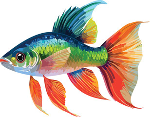 Molly Fish isolated on a transparent or white background, vector illustration