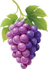 Grape isolated on a transparent or white background, vector illustration