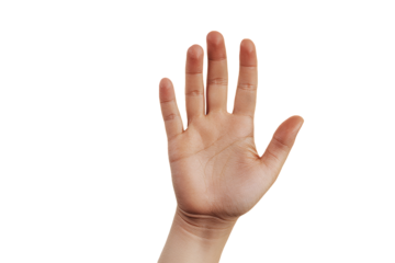 Hand palm open isolated on transparent background..