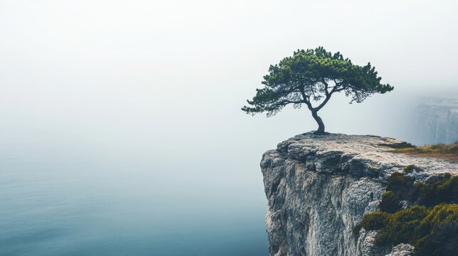 Lonely tree standing on rocky cliff overlooking foggy sea during early morning light at coastal location - Powered by Adobe