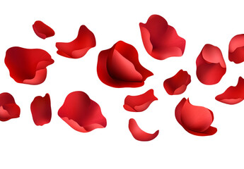 Fototapeta premium Red rose petals falling on a transparent background, a Valentine's Day