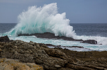A translucent wave explodes in white spray on the coastal rocks in mid morning sun
