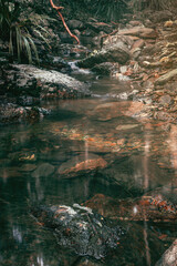 The pristine waters of Cedar Creek in Bellbird Grove, D'Aguilar National Park, Brisbane, Queensland.