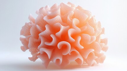 Delicate Peach Abstract Formation with Intricate Surface Textures and Soft Lighting