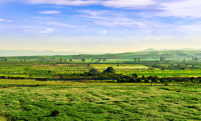 Fototapeta premium Beautiful spring landscape of green shiny field and meadow with young growth and fresh grass and amazing hills with nice cloudy sky on background