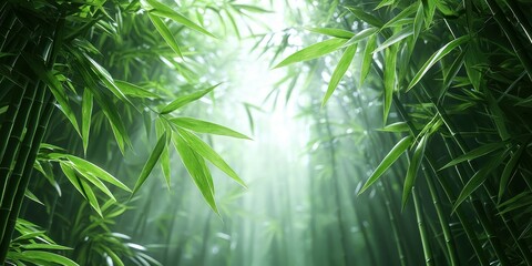 Lush green bamboo forest glowing softly under natural light.