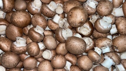 Lots of mushrooms in a big box. Tasty and aromatic mushrooms on the counter in the store
