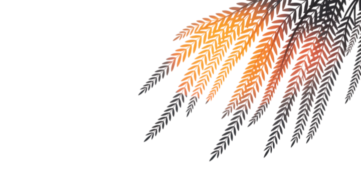 A visually appealing graphic design element featuring a cluster of stylized leaves in shades of orange and dark grey, with a transparent background