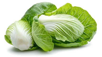 Vibrant green Chinese cabbage with a morning sunlight glow