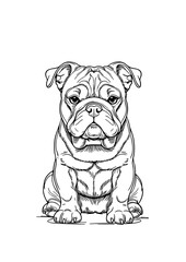 Bulldog Puppy Sitting Illustration – Hand Drawn Black and White Line Art of Cute Wrinkled Dog for Tattoo, Logo, Coloring Page, or Pet Design