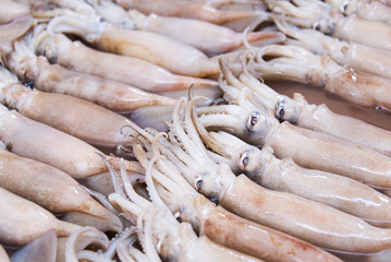 A bunch of squid in supermarket for sale