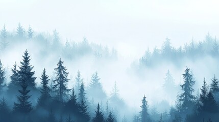 A foggy morning in a dense forest