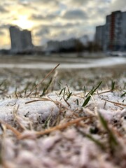 grass covered with snow against the backdrop of the city
