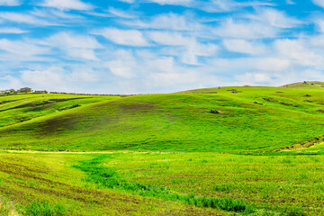 green spring hills with young grass and amazing growing fields and hills with beautiful bright cloudy sunset on background of rural landscape