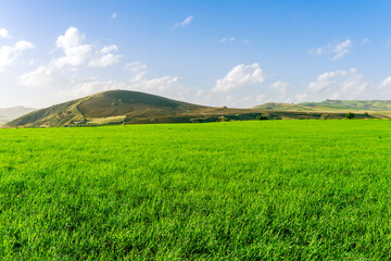 Obraz premium green landscape of spring field with green young grass and amazing hills on background