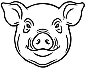 pig head vector illustration