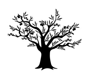 Black silhouette of olive tree with thick trunk, branches and olives. Classic Mediterranean tree. Food, farming, agriculture, botanical themes. Flat vector illustration isolated on transparent.