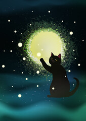 暗い森の中で光を見つけた黒猫