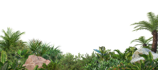 3D Rendering of Lush Tropical Greenery with Transparent Background © jomphon