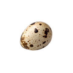One quail egg isolated on transparent background