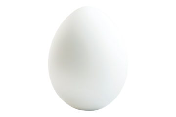 Single white egg with smooth texture isolated on white transparent background. Concept of food, nutrition, and natural ingredients
